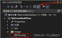 WPF项目中visual studio 2022 解决方案资源管理器不显示图片,并且将图片添加到button控件中不显示