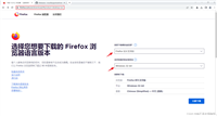 Selenium 连接到现有的 Firefox 示例