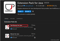 在VS Code中进行Java的单元测试