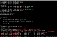 【Linux】解锁权限的神秘面纱,让你的系统更安全、更高效!