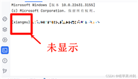 pycharm终端不显示