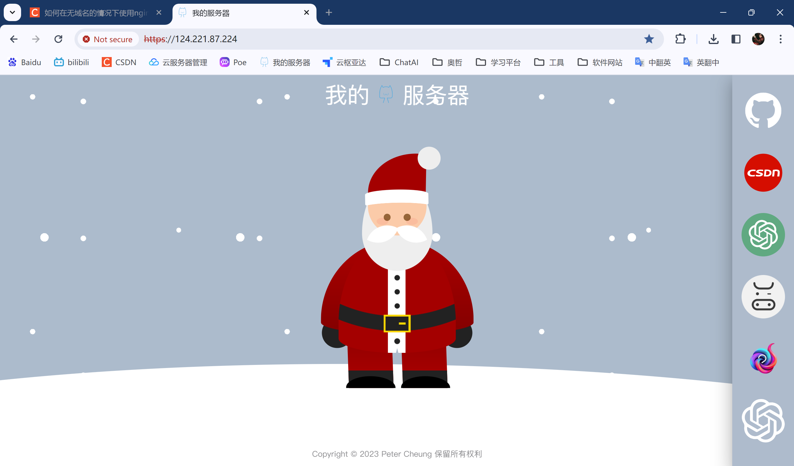 image-20231225232857865