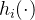 h_{i}(\cdot )