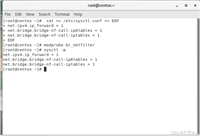 docker 容器安装及镜像创建(详细教程)