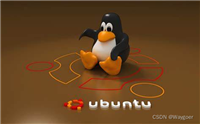 Ubuntu20.04双系统安装详解（内容详细，一文通关！）