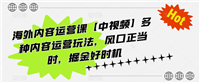 海外内容运营课【中视频】多种内容运营玩法,风口正当时,掘金好时机(101节课)