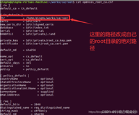 https网络编程——使用openssl库自建根证书_openssl 生成根证书(1)