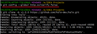 fatal: unable to access ‘ ‘: SSL certificate problem: unable to get local issuer certificate