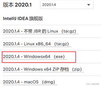 【激活IDEA 2020.1.4】