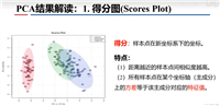 PCA分析(主成分分析)--结果解读