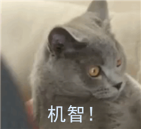 Python实战——轻松实现动态网页爬虫(附详细源码)