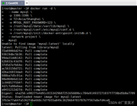 Docker-完整项目的部署(保姆级教学)