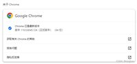 Selenium安装WebDriver:ChromeDriver谷歌浏览器驱动下载安装与使用最新版116/117/118/119/120/121/122/123