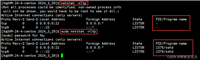 传输层 --- UDP
