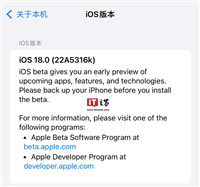 苹果重发 iOS / iPadOS 18 Beta 4 更新,版本号变为 22A5316k