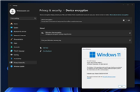 微软承认 7 月安全更新导致 Win11 设备开机进入 BitLocker 恢复界面