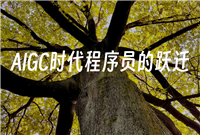 AIGC时代程序员的跃迁——编程高手的密码武器