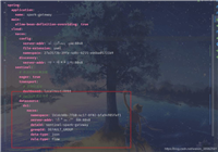 sentinel配置&nbsp;持久化到nacos的详细过程