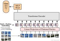 ViT（Vision Transformer）原理及基于pytorch构建和训练视觉Transformer实例（ViTransformer）