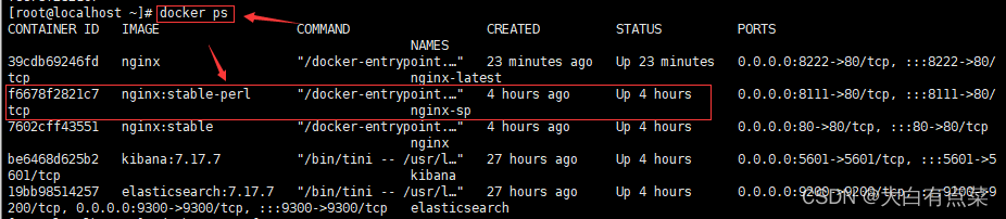 查看docker运行中的容器