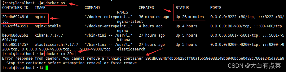 查看docker中运行中的nginx容器并删除