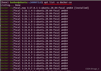 【环境配置】ubuntu中 Docker的安装