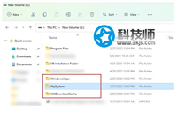 WpSystem是如何产生的?