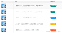 Github Copilot 工具,无需账号,一键激活