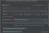 IDEA本地启动单元测试类-通过环境变量配置