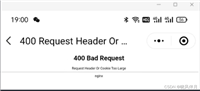 HTTP:400 Request Header Or Cookie Too Large