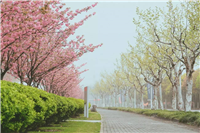 为什么不建议上华东师范大学?上海人眼中的华东师范大学?