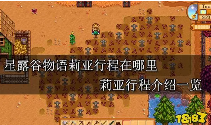 星露谷莉亚行程在哪里?怎么交任务?