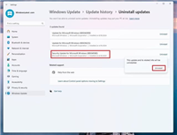 微软IPv6补丁KB5041585存在 BUG:安装失败/拖慢性能/游戏崩溃等