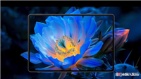 华为MatePad Pro 12.2和13.2英寸怎么选? 华为平板区别对比
