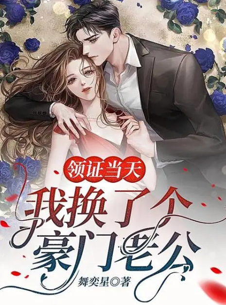 领证当天我换了个豪门老公短剧完整版免费_在线观看全集
