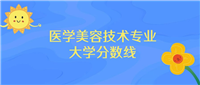 医学美容技术专业大学排名及录取分数线2024年高考参考