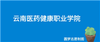 云南医药健康职业学院2024年招生简章(含专科人数、录取规则)