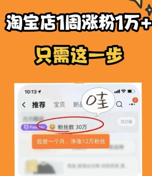 淘宝店铺粉丝多有什么好处?怎么快速增加关注?