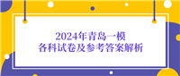2024年青岛一模各科试卷及参考答案解析（全科汇总）