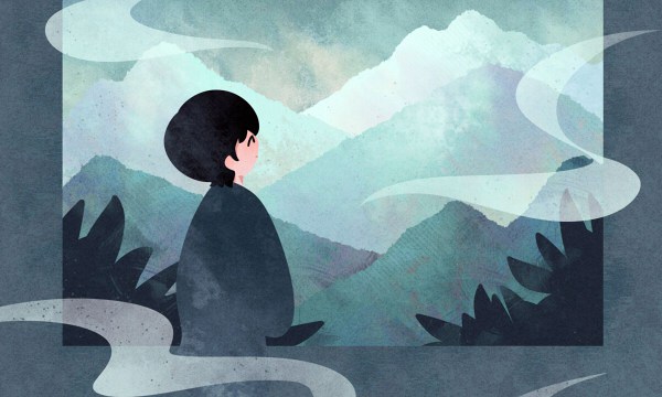 2024南昌大学中外合作办学临床医学学费多少 项目怎么样