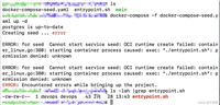 docker启动报错问题OCI runtime create failed: container_linux.go:380: starting container process