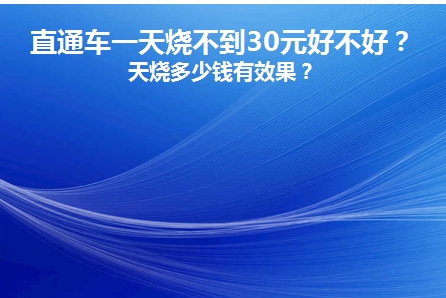 直通车一天烧30块行吗?新手投放技巧有哪些?