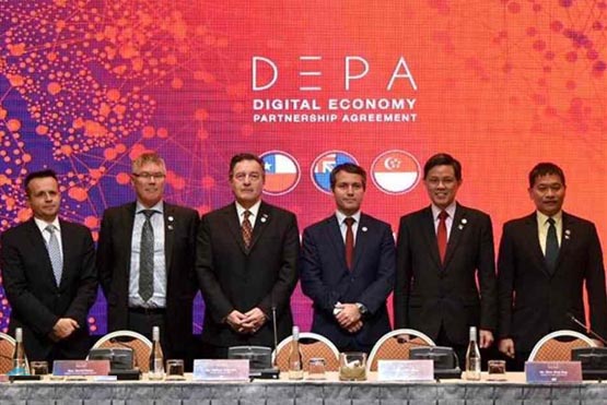 depa是什么组织？一文详述depa