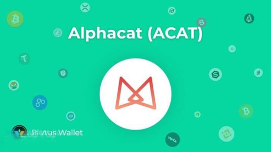 acat币怎么样？acat币值得投资吗？
