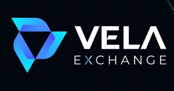vela币能涨起来吗？未来前景如何？