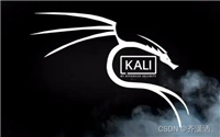 Kali使用VMware安装的图文步骤