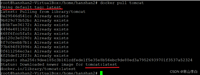 Docker创建tomcat容器实例后无法访问(HTTP状态404)