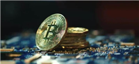 TON币会继续看涨吗?鲸鱼对TON充满信心将继续投资