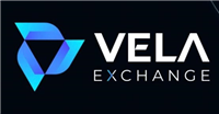 VELA币能涨起来吗?VELA币未来前景如何?