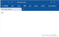 docker容器启用ipv6地址的方法流程
